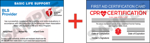 Sample American Heart Association AHA BLS CPR Card Certification and First Aid Certification Card from CPR Certification Deerwood