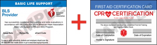 Sample American Heart Association AHA BLS CPR Card Certification and First Aid Certification Card from CPR Certification Atlantic Beach
