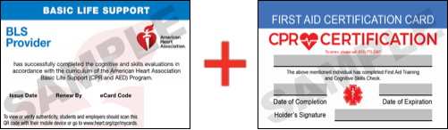 Sample American Heart Association AHA BLS CPR Card Certification and First Aid Certification Card from CPR Certification Nocatee