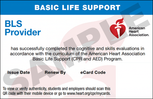 Sample American Heart Association AHA BLS CPR Card Certification from CPR Certification Lakewood